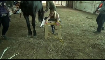 Masha from Russia engaged in bestiality in the stable entertains the animal